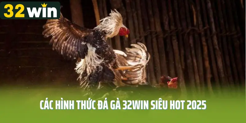 Những hình thức thi đấu nổi bật tại đá gà 32WIN