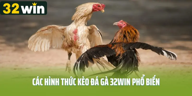 Những sảnh đá gà uy tín có tại đá gà 32WIN
